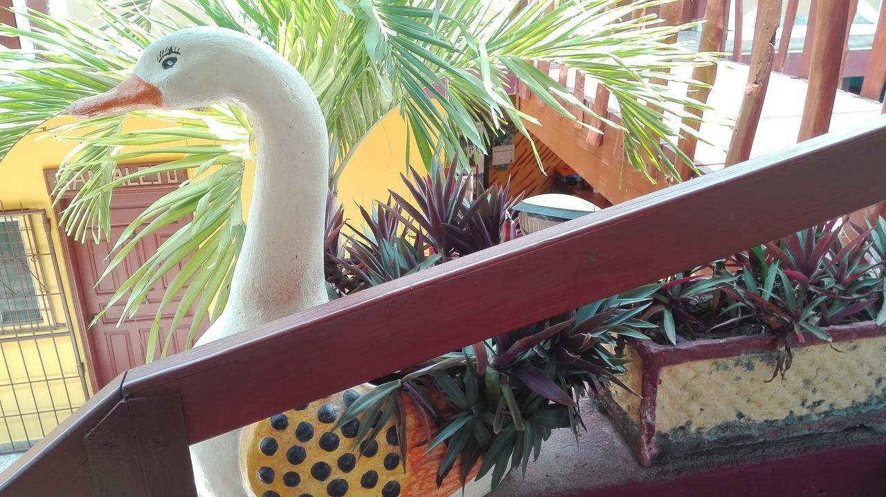 Hotel Bahia Tela Luaran gambar